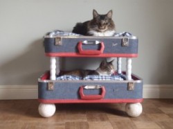 Repurposed-Suitcase-Cat-Bunkbed