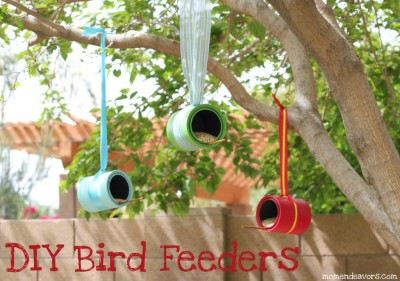 DIY-Bird-Feeders