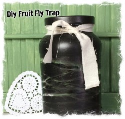 Diy Decorative Fruit Fly Trap