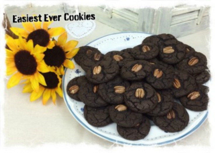 easy chocolate cake cookie