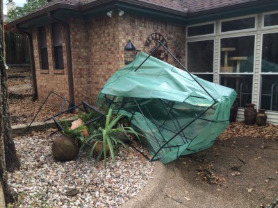 my poor greenhouse