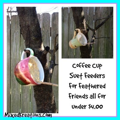 Coffee cup suet feeders