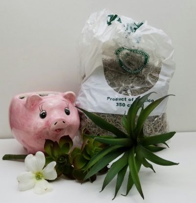 Pig planter with faux succulents 