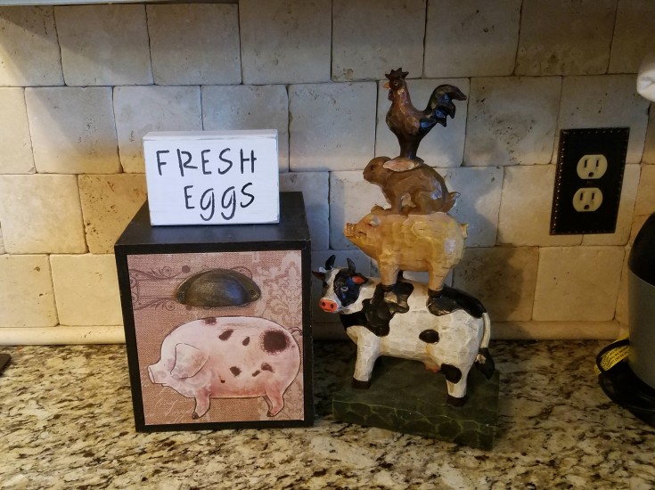 Farmhouse Signs and Thrift Store Makeovers