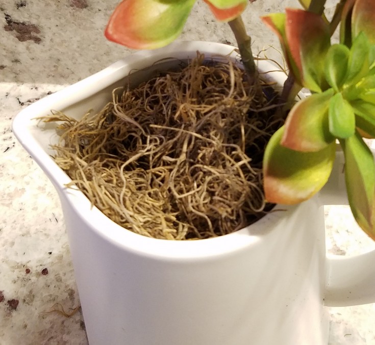 how to make an easy diy faux succulent planter out of a pitcher