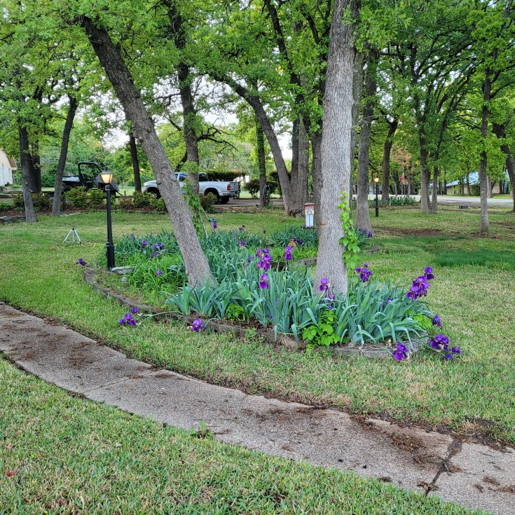 life after retirement working in the flowerbeds