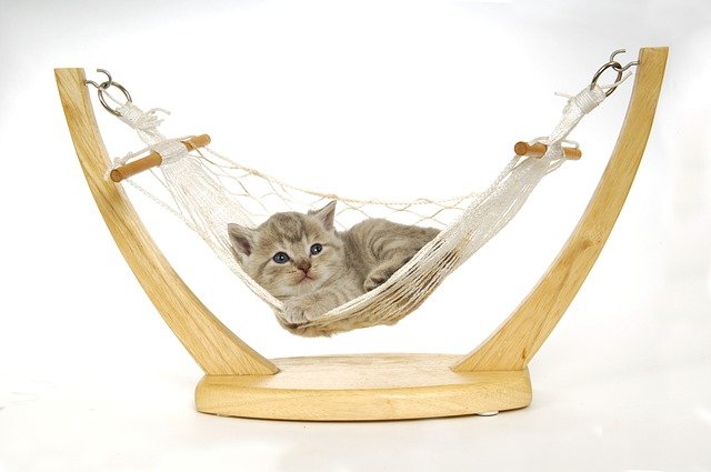 garden hammock