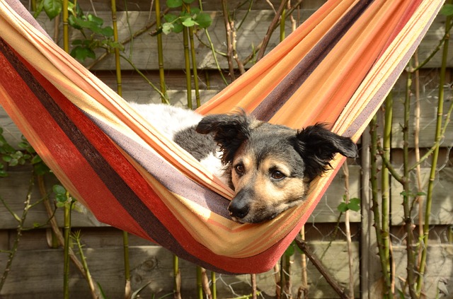 garden hammocks