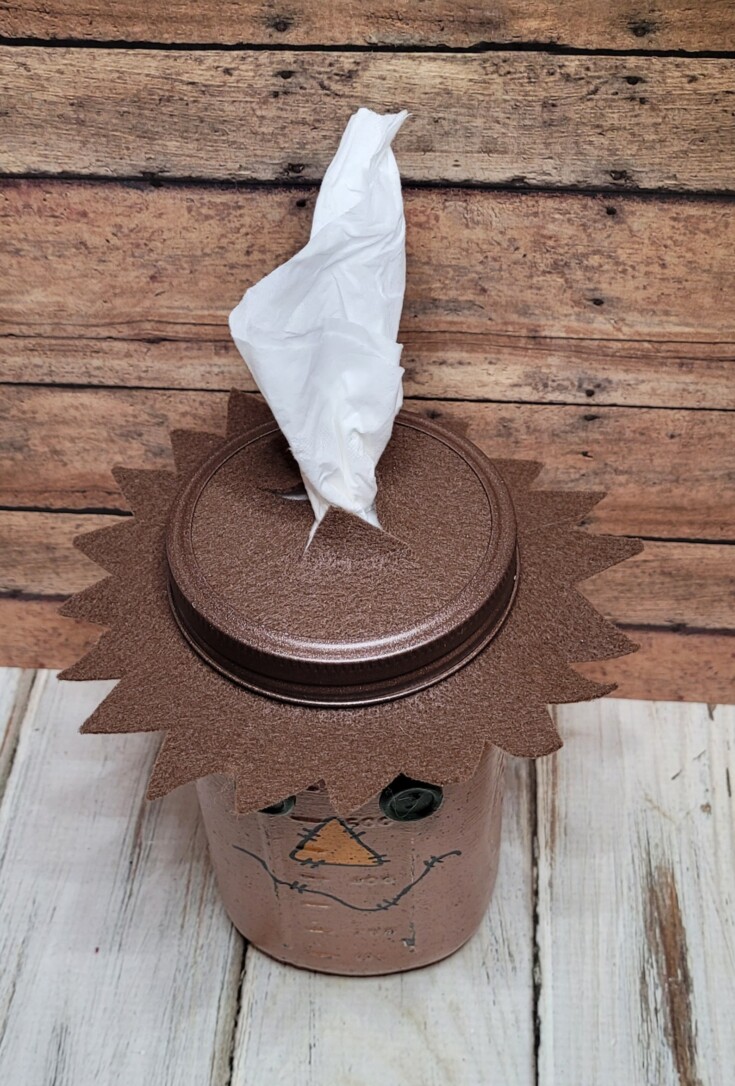 Diy scarecrow tissue holder