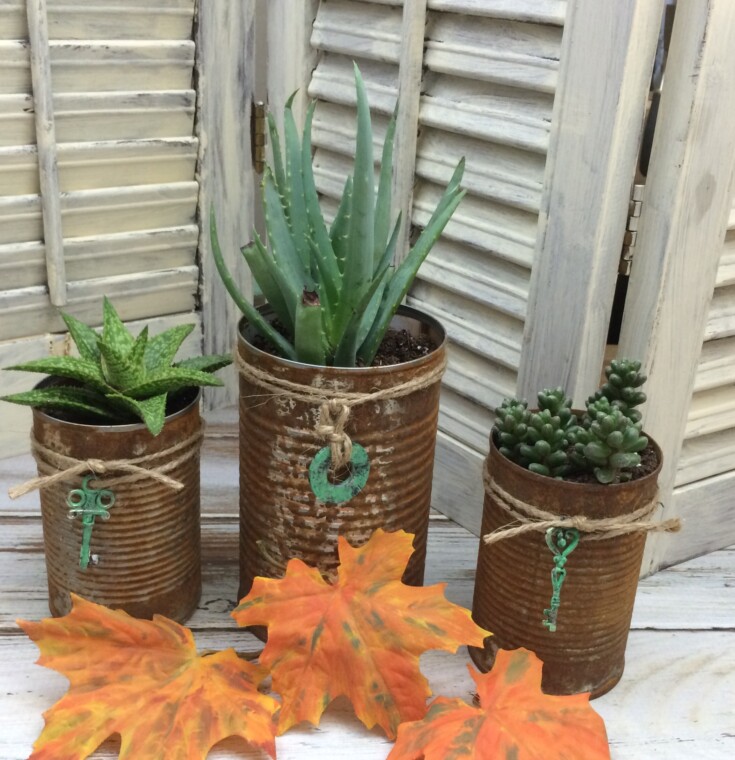 diy rusty cans