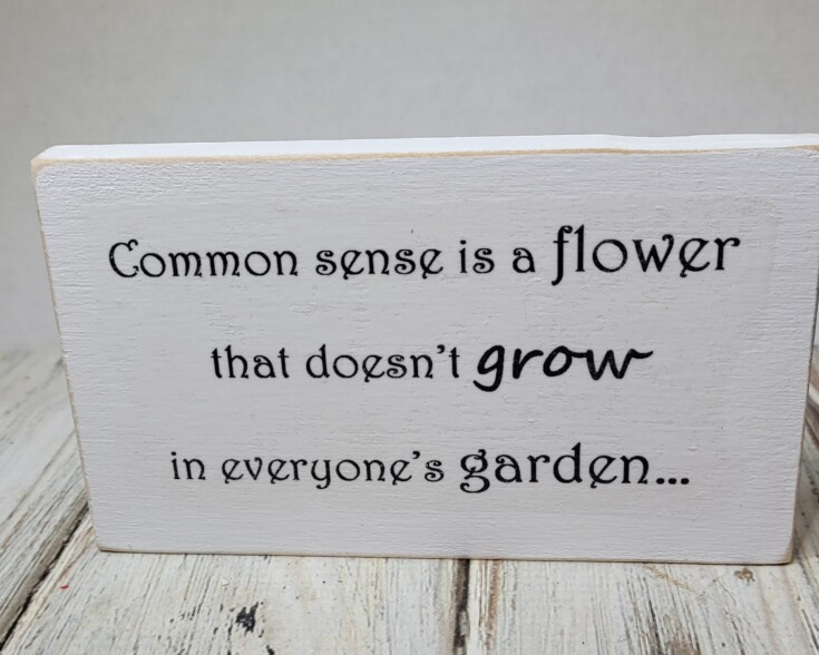Common sense doesn't grow in everyone's garden