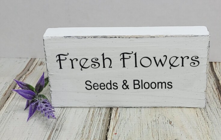 Diy Fresh flowers seeds and blooms sign