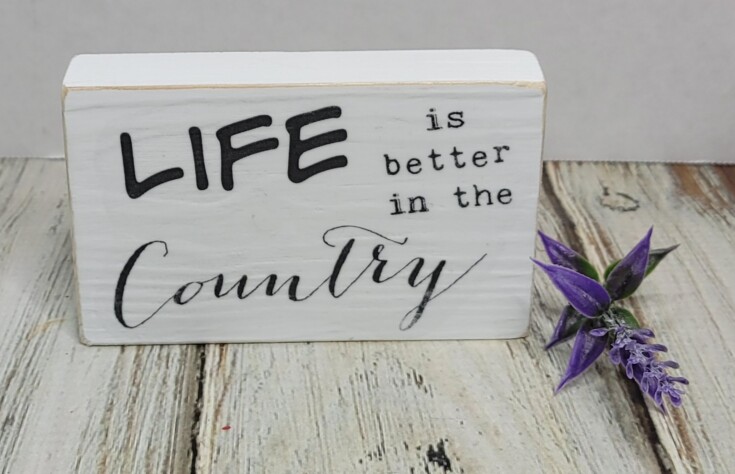 Diy life is better in the country sign