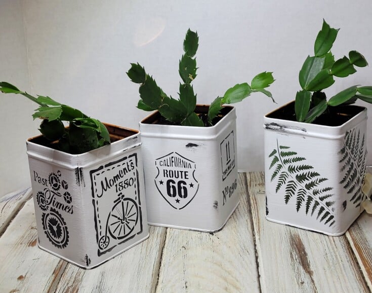 Tea tin planters diy