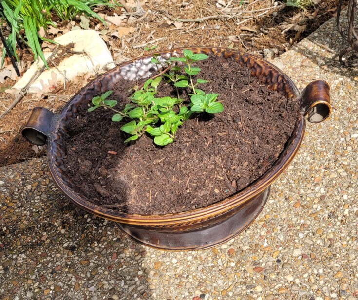 Repurposed garden planter